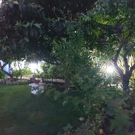 Vila Casa Do Sobral Óbidos Екстериор снимка