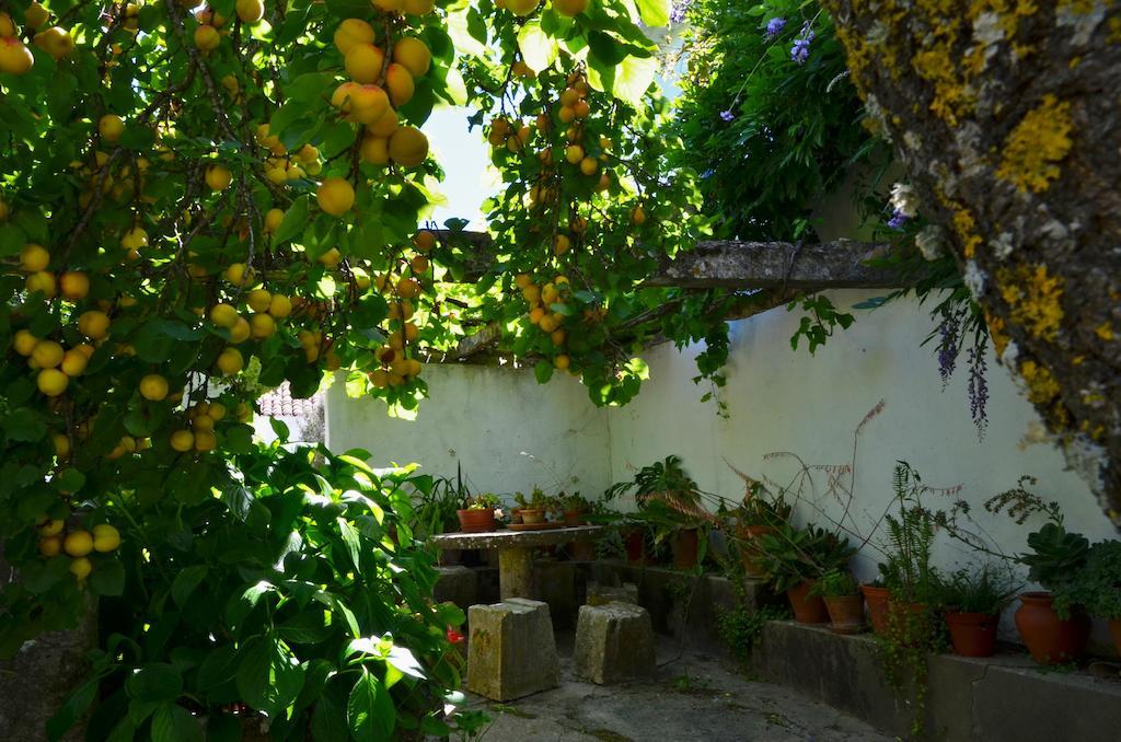 Vila Casa Do Sobral Óbidos Стая снимка