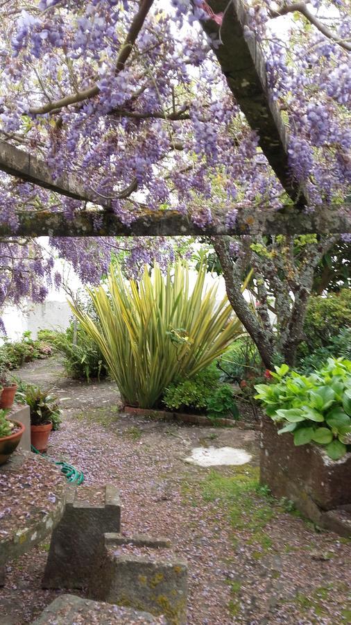 Vila Casa Do Sobral Óbidos Екстериор снимка