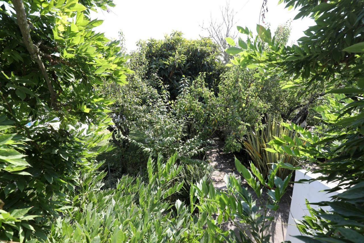 Vila Casa Do Sobral Óbidos Екстериор снимка